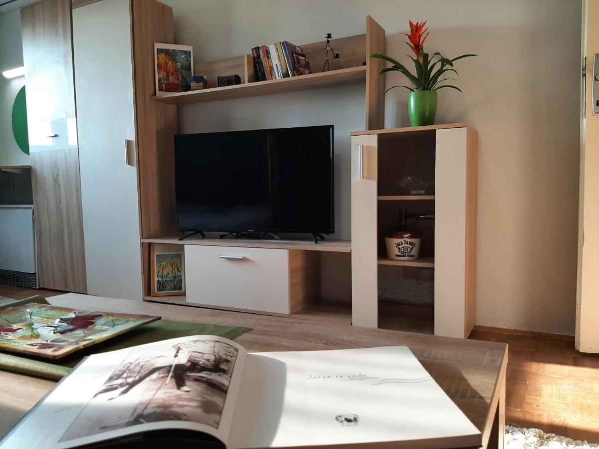 Apartmán Vuk Čačak Exteriér fotografie