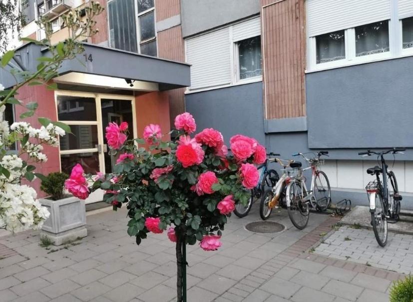 Apartmán Vuk Čačak Exteriér fotografie