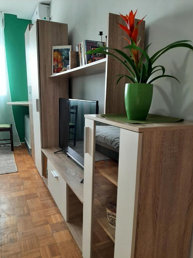 Apartmán Vuk Čačak Exteriér fotografie